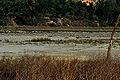 Thumbnail for version as of 08:04, 15 January 2012