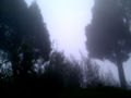 Thumbnail for version as of 07:58, 5 October 2016