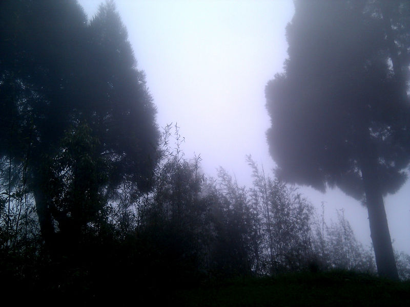 File:Mirik-10.jpg
