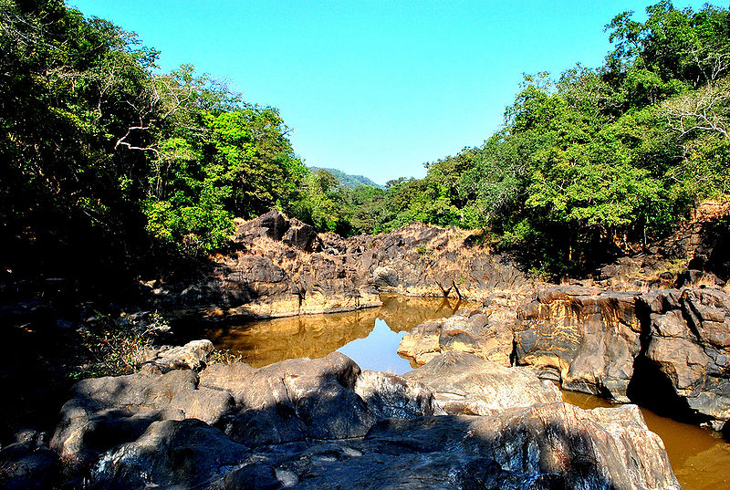File:Bhagwan-Mahaveer-National-Park.jpg