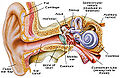 Thumbnail for version as of 11:36, 12 February 2011