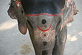 Thumbnail for version as of 07:31, 17 November 2010