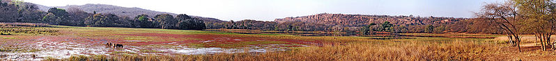 File:Ranthambore-National-Park-4.jpg