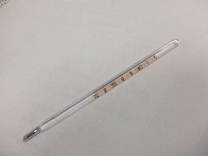 File:Thermometer.jpg