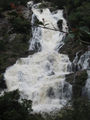 Thumbnail for version as of 08:16, 20 September 2016