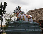 Nandi.jpg