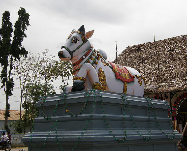 File:Nandi.jpg
