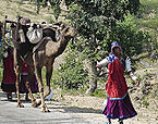 पारम्परिक बंजारे, गुजरात