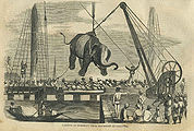 Elephant-Landing-Calcutta.jpg