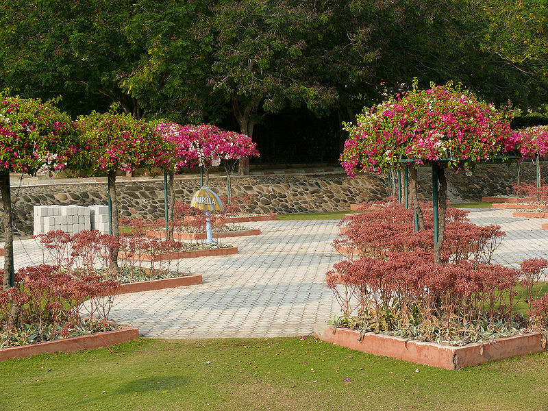 File:Umbrela-Garden-Ramoji-Film-City.jpg