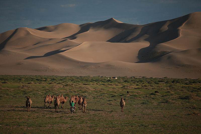 File:Gobi-Desert.jpg