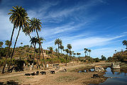 Achalgarh-Fort-Mount-Abu.jpg