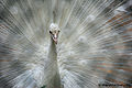 Thumbnail for version as of 07:34, 30 September 2011