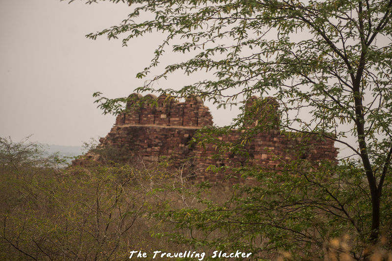 File:Dholpur-6.jpg