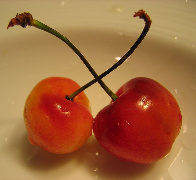 File:Cherries-1.jpg