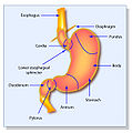 Thumbnail for version as of 11:41, 7 December 2010