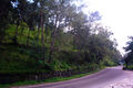 Thumbnail for version as of 06:41, 6 September 2016