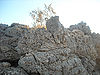 Igneous-Rock.jpg