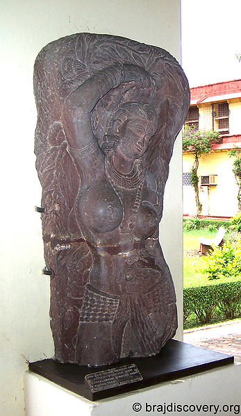 चित्र:Colossal-Yakshi-Standing-Under-A-Ashoka-Tree-Mathura-Museum-18.jpg