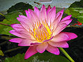 Thumbnail for version as of 07:32, 16 October 2011