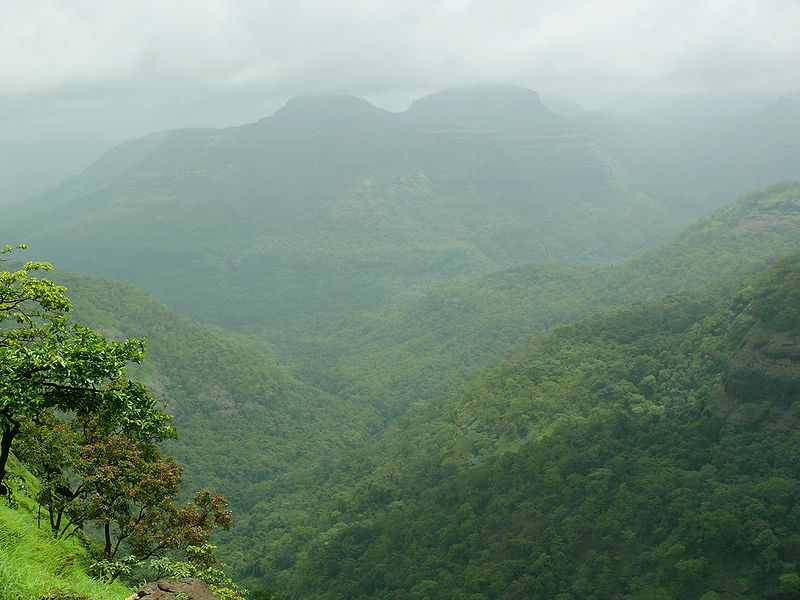 File:Tiger-Valley-Khandala.jpg
