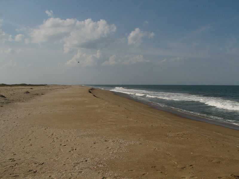 File:Pulicat Lake-7.jpg