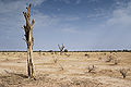 Thumbnail for version as of 04:34, 23 July 2012