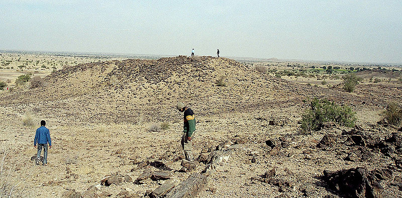 File:Wood-Fossil-Park-Jaisalmer.jpg