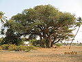 Thumbnail for version as of 05:39, 27 June 2012