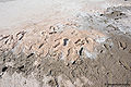 Thumbnail for version as of 12:20, 11 March 2011