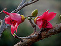 Thumbnail for version as of 09:37, 7 April 2013