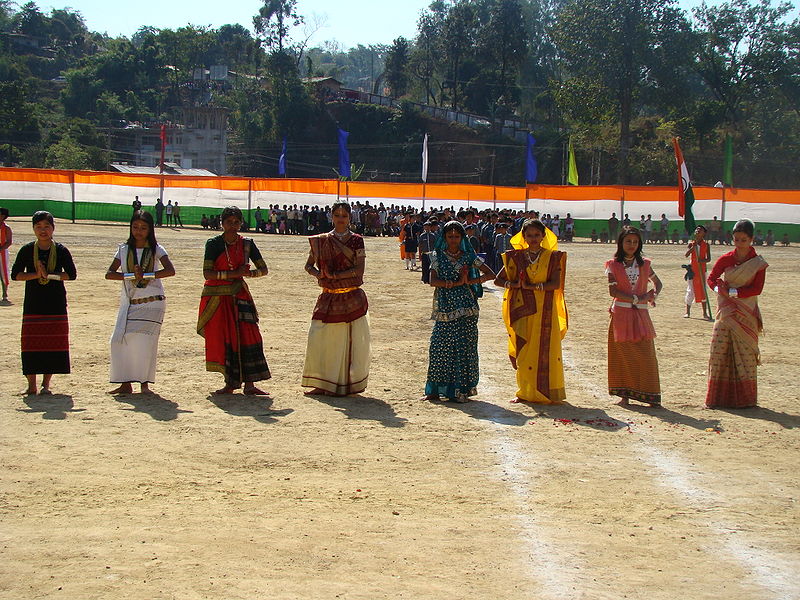 File:Celebration-Of-Republic-Day.jpg
