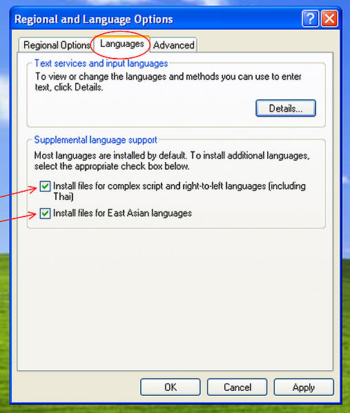 File:Indic-support.jpg