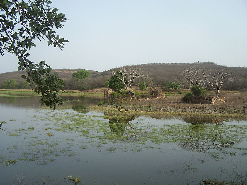 File:Ranthambore-National-Park-2.jpg