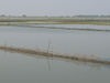 Chilika-Lake-4.jpg