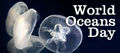 Thumbnail for version as of 09:21, 24 May 2016
