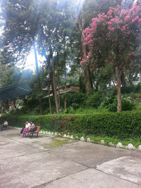 चित्र:Palampur-3.jpg