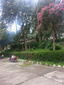 पालमपुर