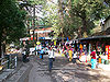 Kasauli-1.jpg