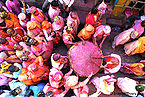 होली, राधा रानी मन्दिर, बरसाना Holi, Radha Rani Temple, Barsana