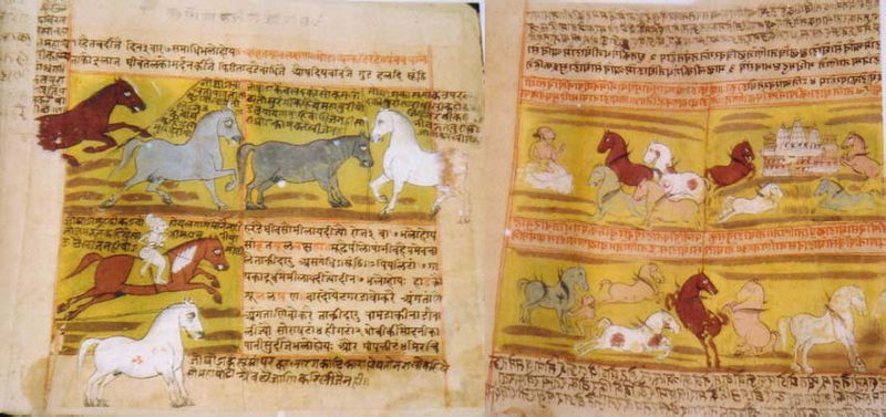File:Shalihotra-Manuscript.jpg