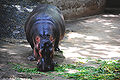 Thumbnail for version as of 07:07, 1 October 2011