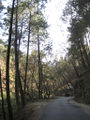 Thumbnail for version as of 07:52, 20 September 2016