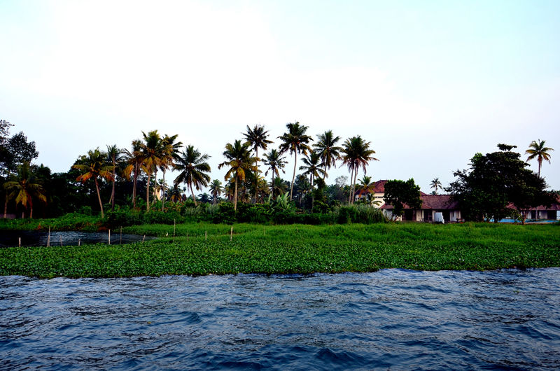 File:Vembanad-Lake-3.jpg