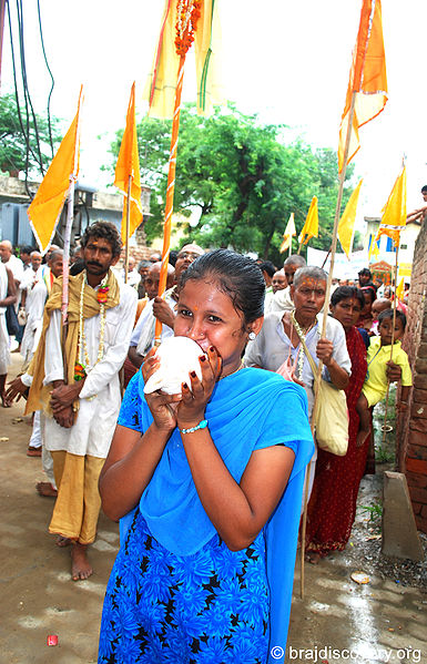 चित्र:Guru-Purnima-Govardhan-Mathura-27.jpg
