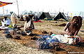 Thumbnail for version as of 08:01, 11 April 2010