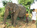 Thumbnail for version as of 06:19, 19 October 2010