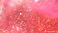 Thumbnail for version as of 12:09, 28 February 2011