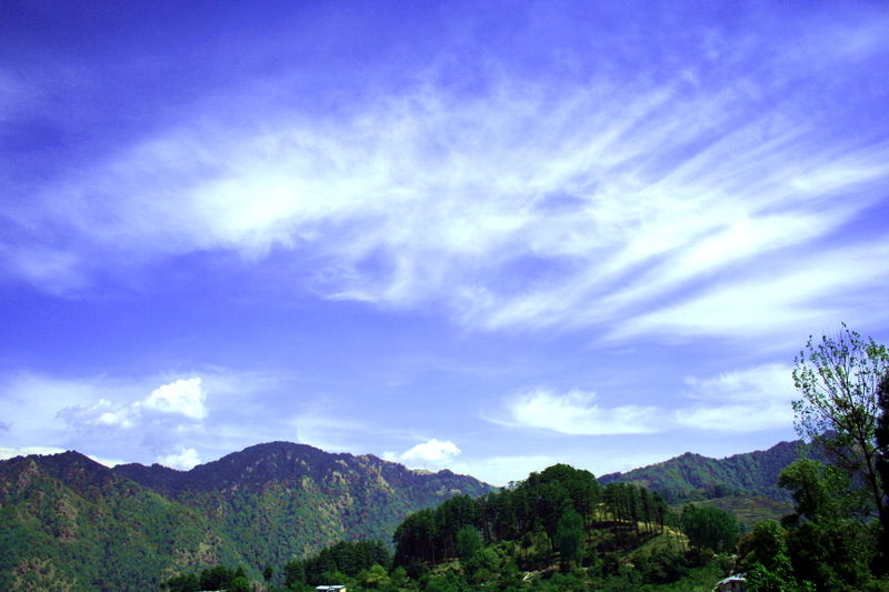File:Dhanaulti-6.jpg