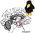 Thumbnail for version as of 13:20, 2 March 2012